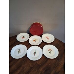 Crate & Barrel Berry Botanical Appetizer Plates Set of 6 with Storage Box